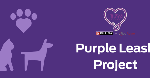 Purple leash hotsell